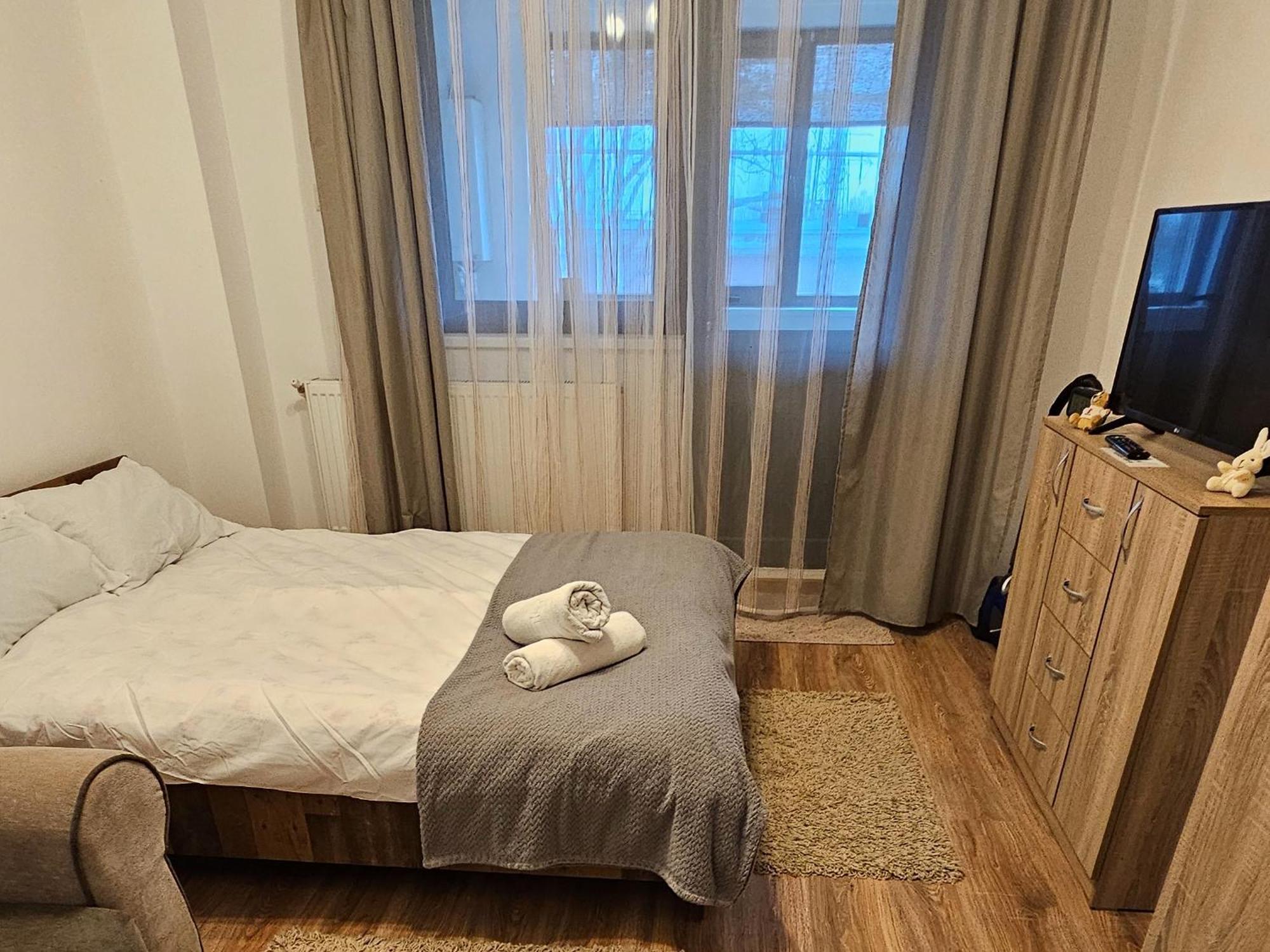 Cozy Studio Brăila Extérieur photo
